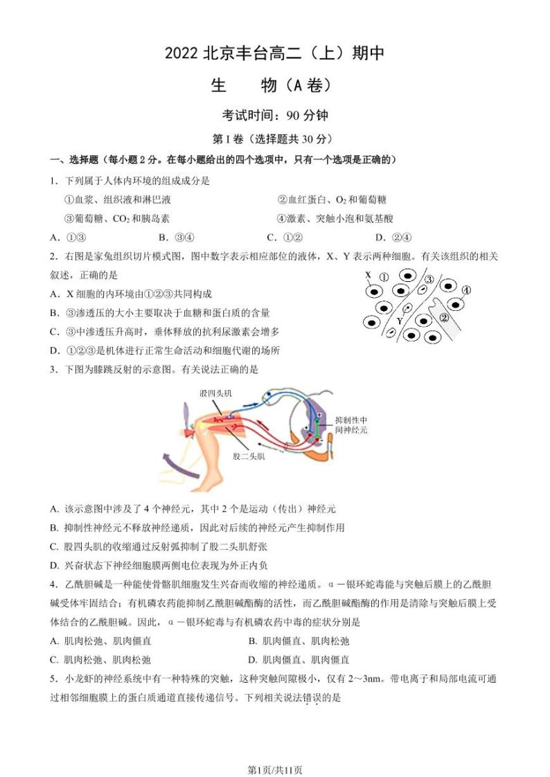 2022-2023学年北京丰台高二（上）期中生物A卷试题及答案01