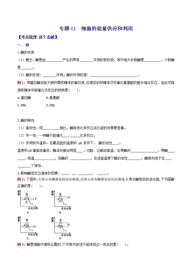 专题05 细胞的能量供应和利用:【二轮复习】备战2023年高考生物必备知识大串讲01