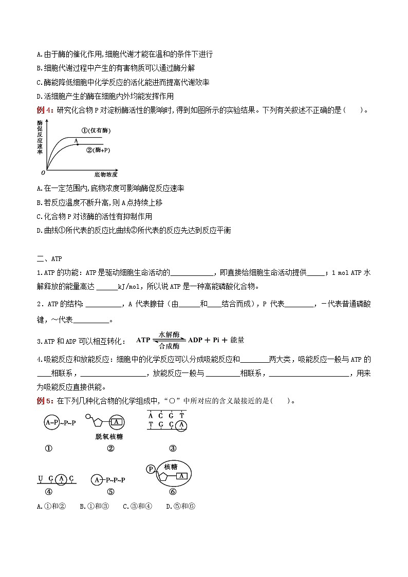 专题05 细胞的能量供应和利用:【二轮复习】备战2023年高考生物必备知识大串讲02