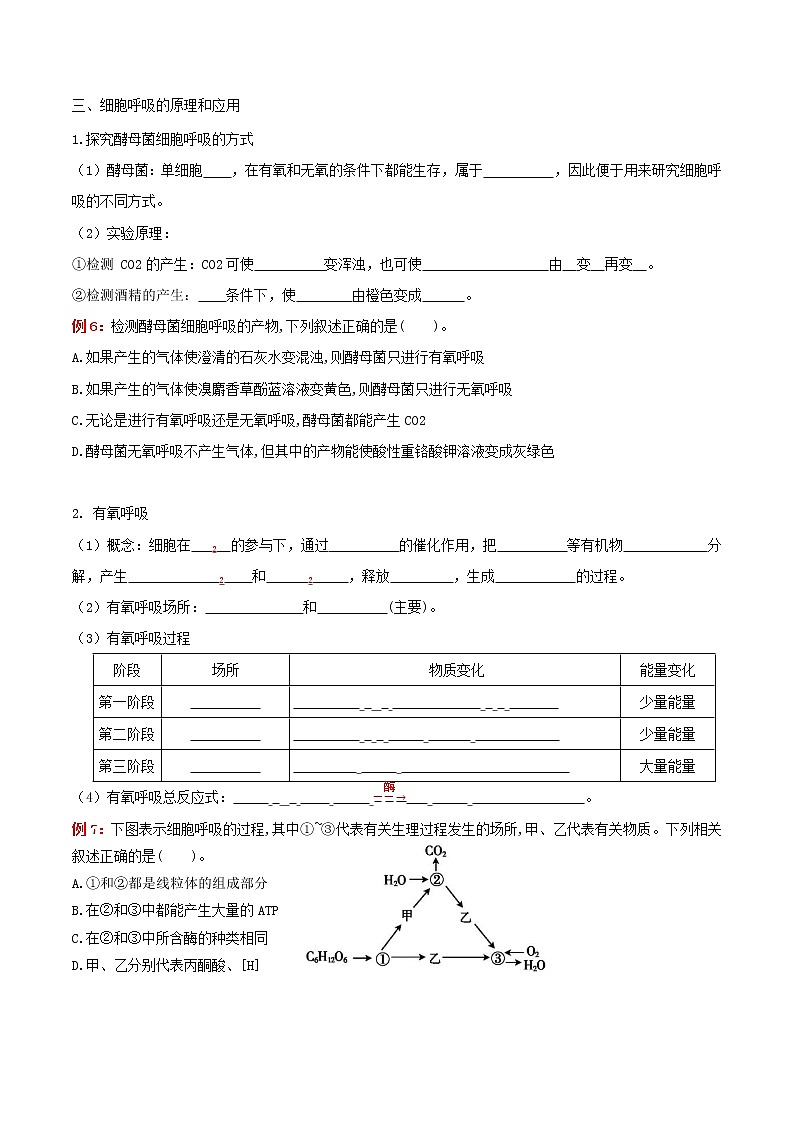 专题05 细胞的能量供应和利用:【二轮复习】备战2023年高考生物必备知识大串讲03