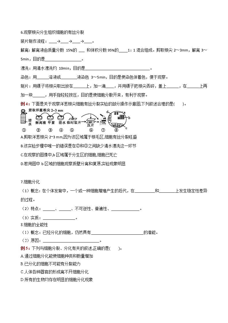 专题06 细胞的生命历程:【二轮复习】备战2023年高考生物必备知识大串讲02