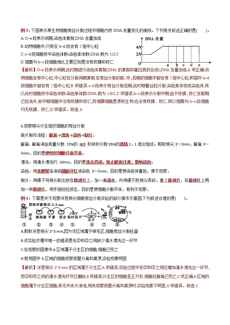 专题06 细胞的生命历程:【二轮复习】备战2023年高考生物必备知识大串讲02