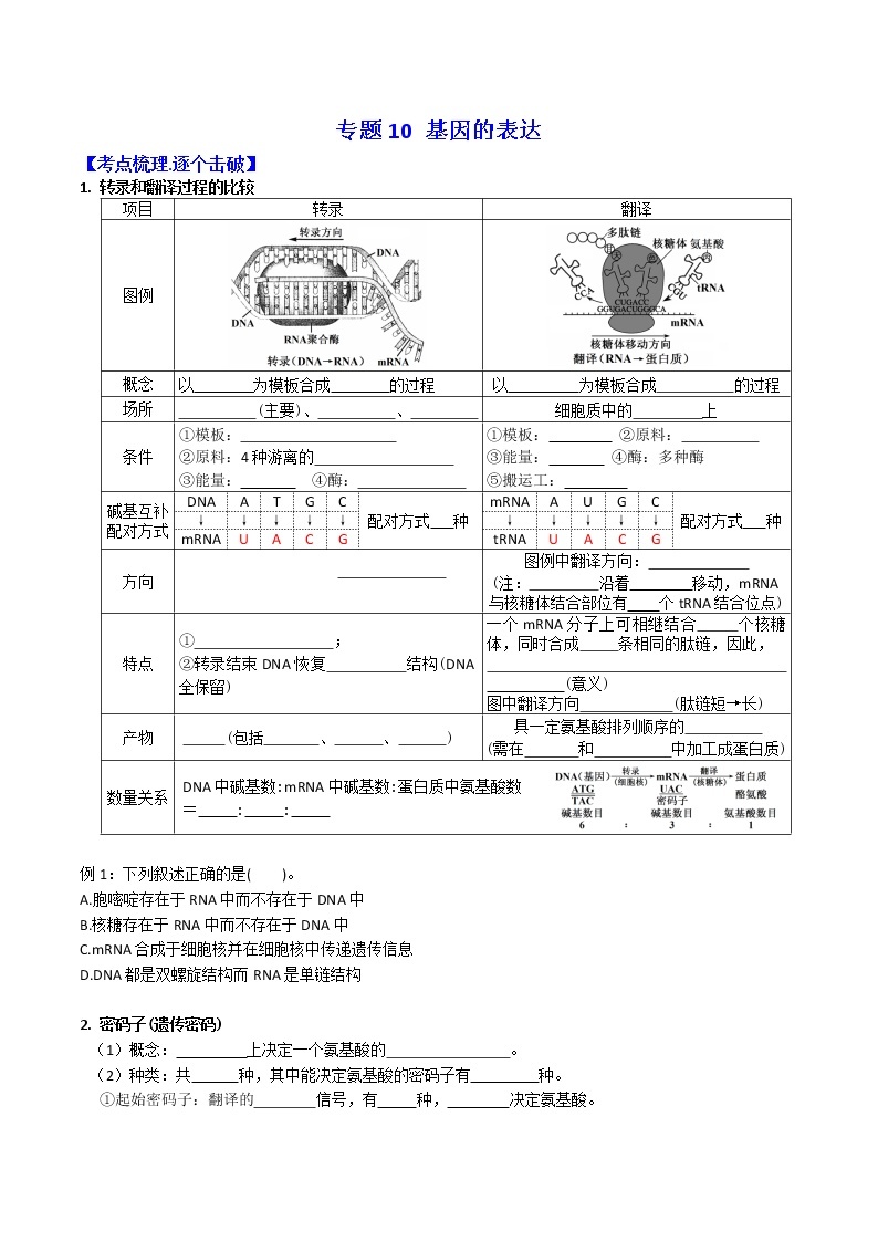 专题10 基因的表达 ：【二轮复习】备战2023年高考生物必备知识大串讲01