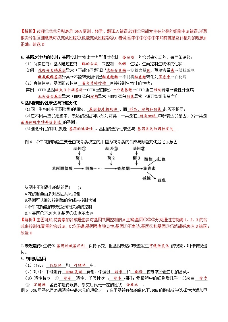 专题10 基因的表达 ：【二轮复习】备战2023年高考生物必备知识大串讲03