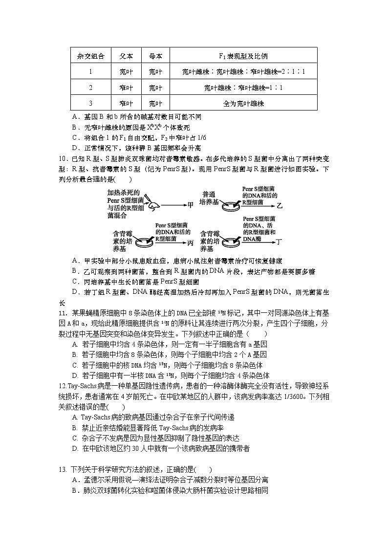 生物试题第3页