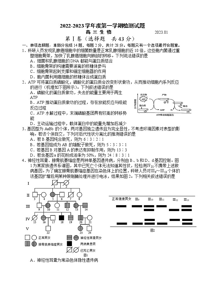 江苏省扬州中学2022-2023学年高三生物上学期1月月考试题(Word版附答案)01