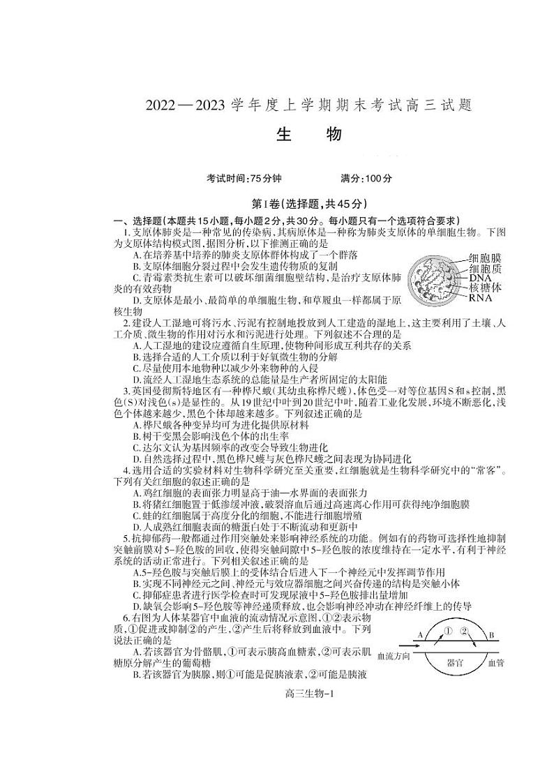 辽宁省辽南协作校2022-2023学年高三生物上学期期末考试试卷(PDF版附答案)01