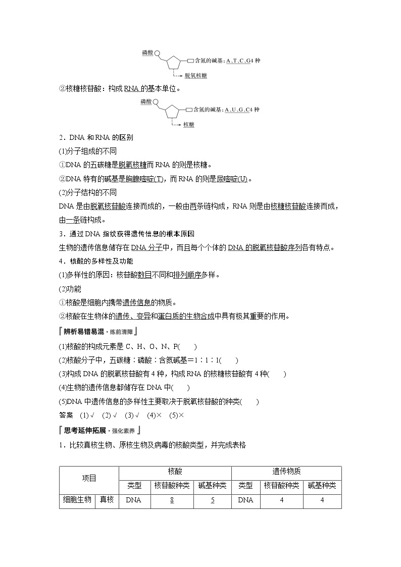 第2章 第5节 核酸是遗传信息的携带者 试卷02