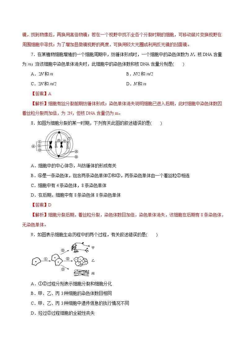 第6章 细胞的生命历程A卷-2020-2021学年高一生物学同步单元AB卷（2019人教版必修1）03