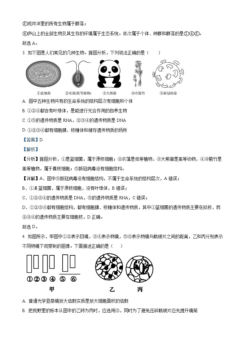 2022-2023学年湖北省华中师范大学附属中学高一上学期期中生物试题(解析版) (1)02