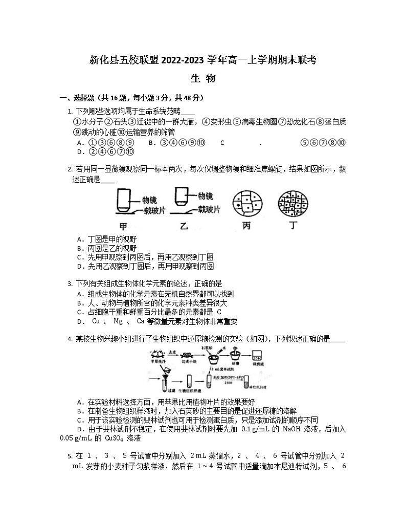 湖南省娄底市新化县五校联盟2022-2023学年高一上学期期末联考生物试题(有答案)第1页