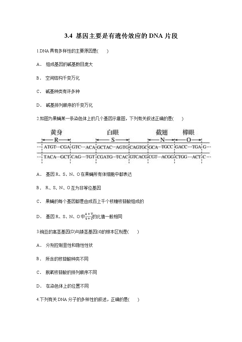 【新教材精创】3.4 基因通常是有遗传效应的DNA片段 练习(1)(原卷版)第1页