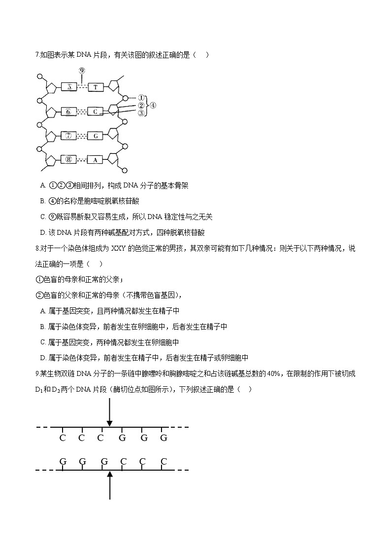 2020-2021学年高一生物下学期期中测试卷02(人教版2019选择性必修2)(原卷版)第2页