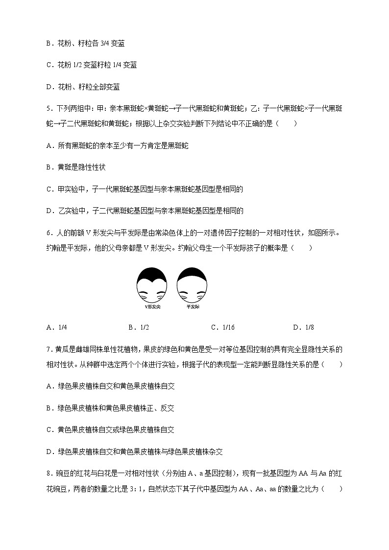 【新教材精创】1.1.2 孟德尔的豌豆杂交实验(一) 练习(2)(原卷版)第2页