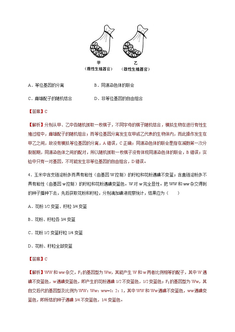 【新教材精创】1.1.2 孟德尔的豌豆杂交实验(一) 练习(2)(解析版)第2页