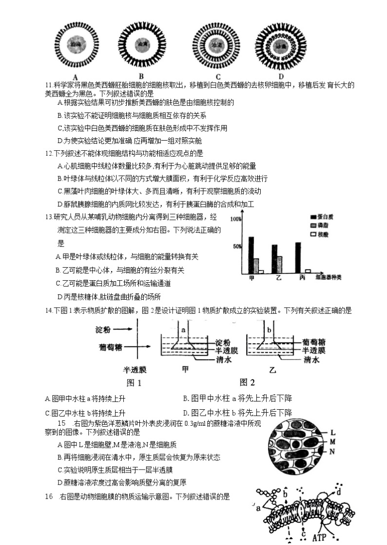 福建省三明市2022-2023学年高一生物上学期期末质量检测试题（Word版附答案）03