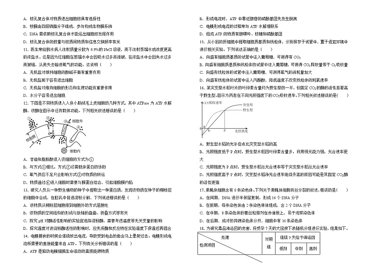 2022-2023学年重庆市沙坪坝区大学城中学高一上学期期末复习题(一)生物试题第2页
