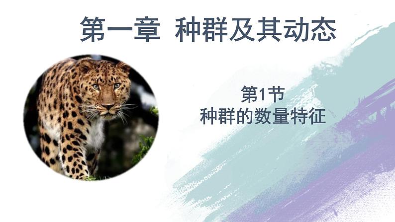 1.1 种群的数量特征(精编课件+同步练习)精编高二生物同步备课系列(人教版2019选择性必修2)01