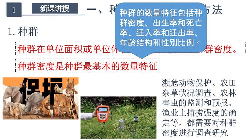 1.1 种群的数量特征(精编课件+同步练习)精编高二生物同步备课系列(人教版2019选择性必修2)05