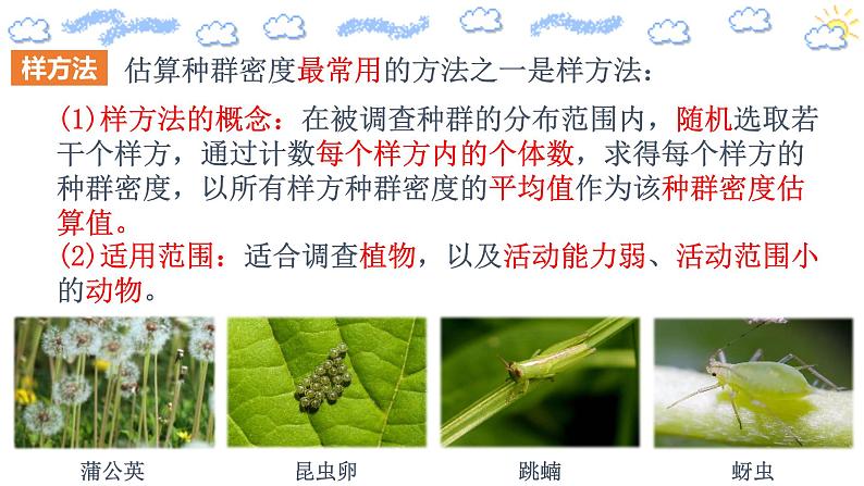 1.1 种群的数量特征(精编课件+同步练习)精编高二生物同步备课系列(人教版2019选择性必修2)07