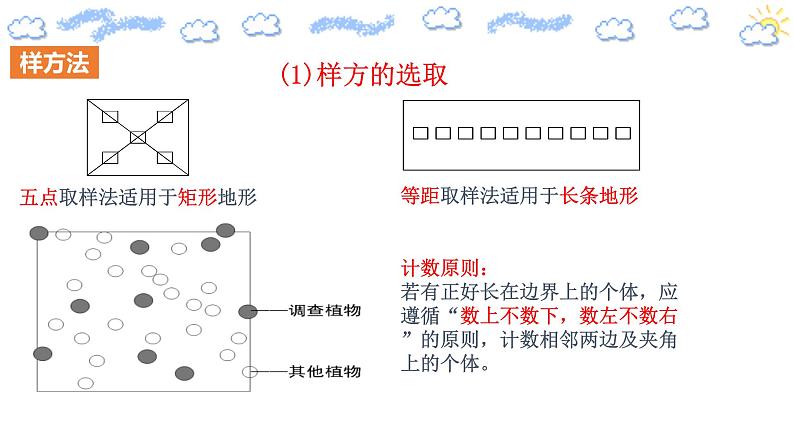 1.1 种群的数量特征(精编课件+同步练习)精编高二生物同步备课系列(人教版2019选择性必修2)08