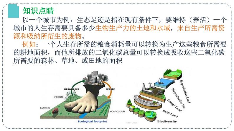 4.1 人类活动对生态环境的影响(精编课件+同步练习)精编高二生物同步备课系列(人教版2019选择性必修2)05