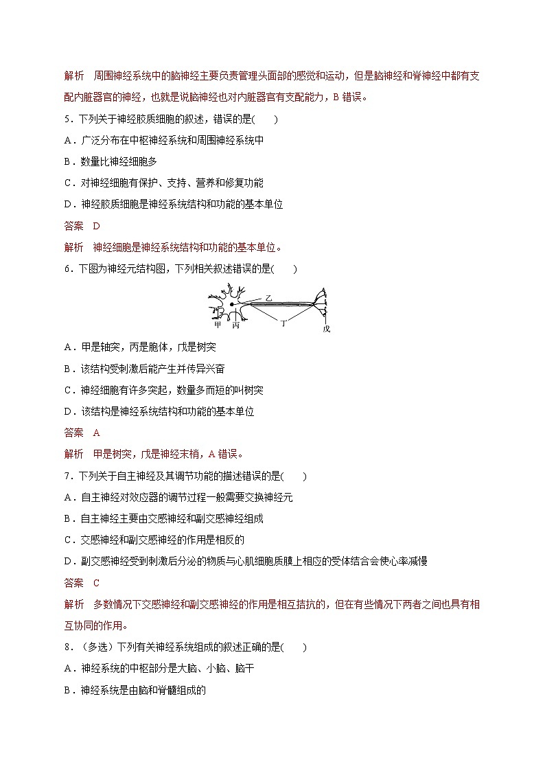 1.1.1精编神经调节的结构基础和自主神经(精编课件+同步练习)精编高二生物同步备课系列(新苏教版(2019)选择性必修1)02