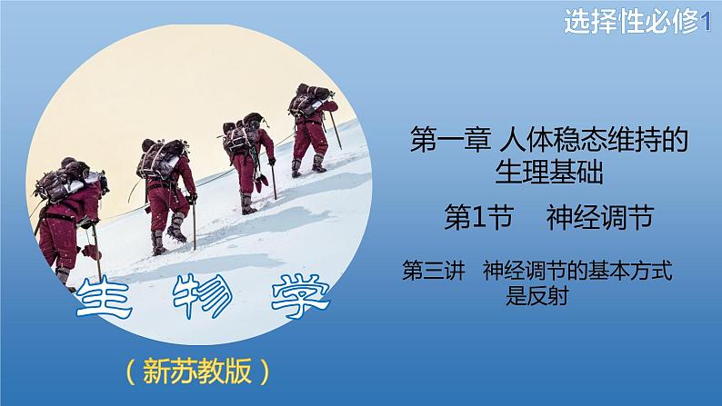 1.1.3神经调节的基本方式是反射(备课件)精编高二生物同步备课系列(新苏教版(2019)选择性必修1)第1页