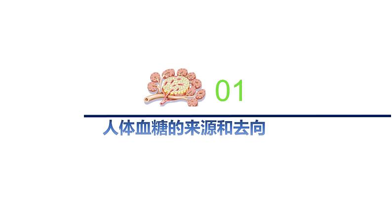 2.2血糖平衡的调节(备课件)精编高二生物同步备课系列(新苏教版(2019)选择性必修1)第3页