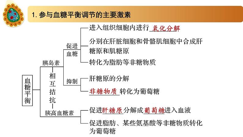 2.2血糖平衡的调节(备课件)精编高二生物同步备课系列(新苏教版(2019)选择性必修1)第7页