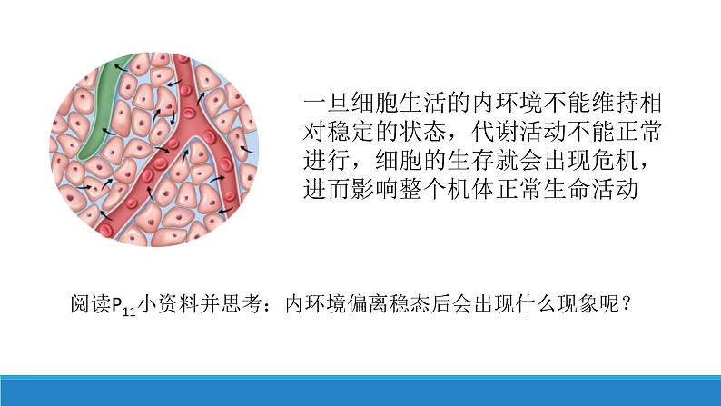 1.2 内环境的稳态保障正常生命活动(精编课件+同步练习)精编高二生物同步备课系列(浙科版2019选择性必修1)02