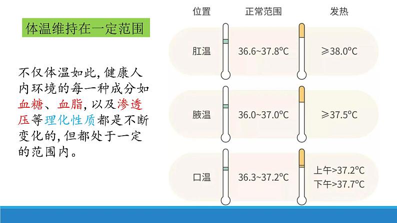 1.2 内环境的稳态保障正常生命活动(精编课件+同步练习)精编高二生物同步备课系列(浙科版2019选择性必修1)04