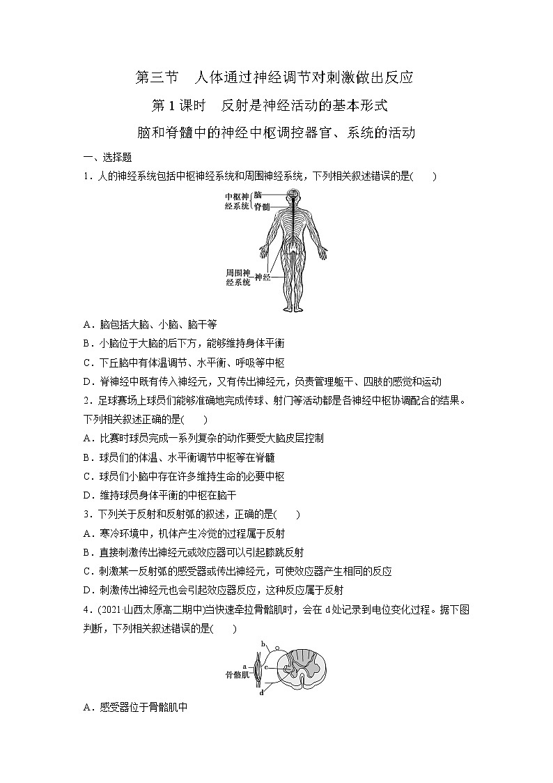 2.3 人体通过神经调节对刺激做出反应(第1课时)(精编课件+同步练习)精编高二生物同步备课系列(浙科版2019选择性必修1)01