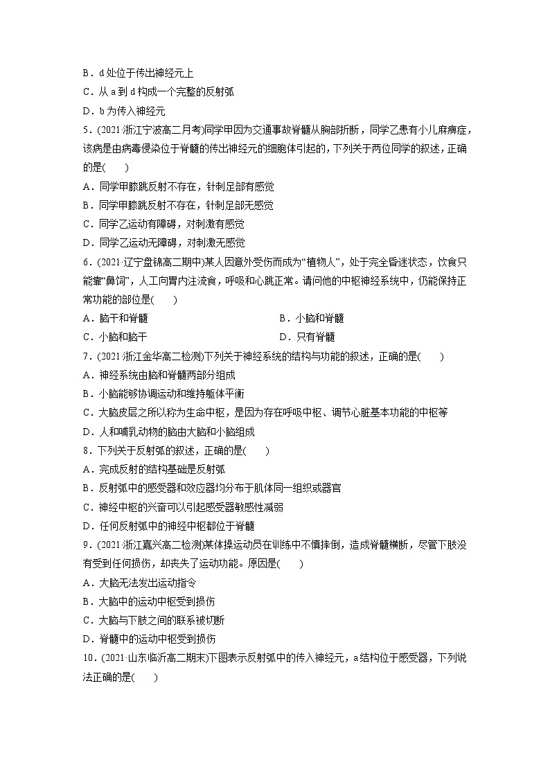 2.3 人体通过神经调节对刺激做出反应(第1课时)(精编课件+同步练习)精编高二生物同步备课系列(浙科版2019选择性必修1)02