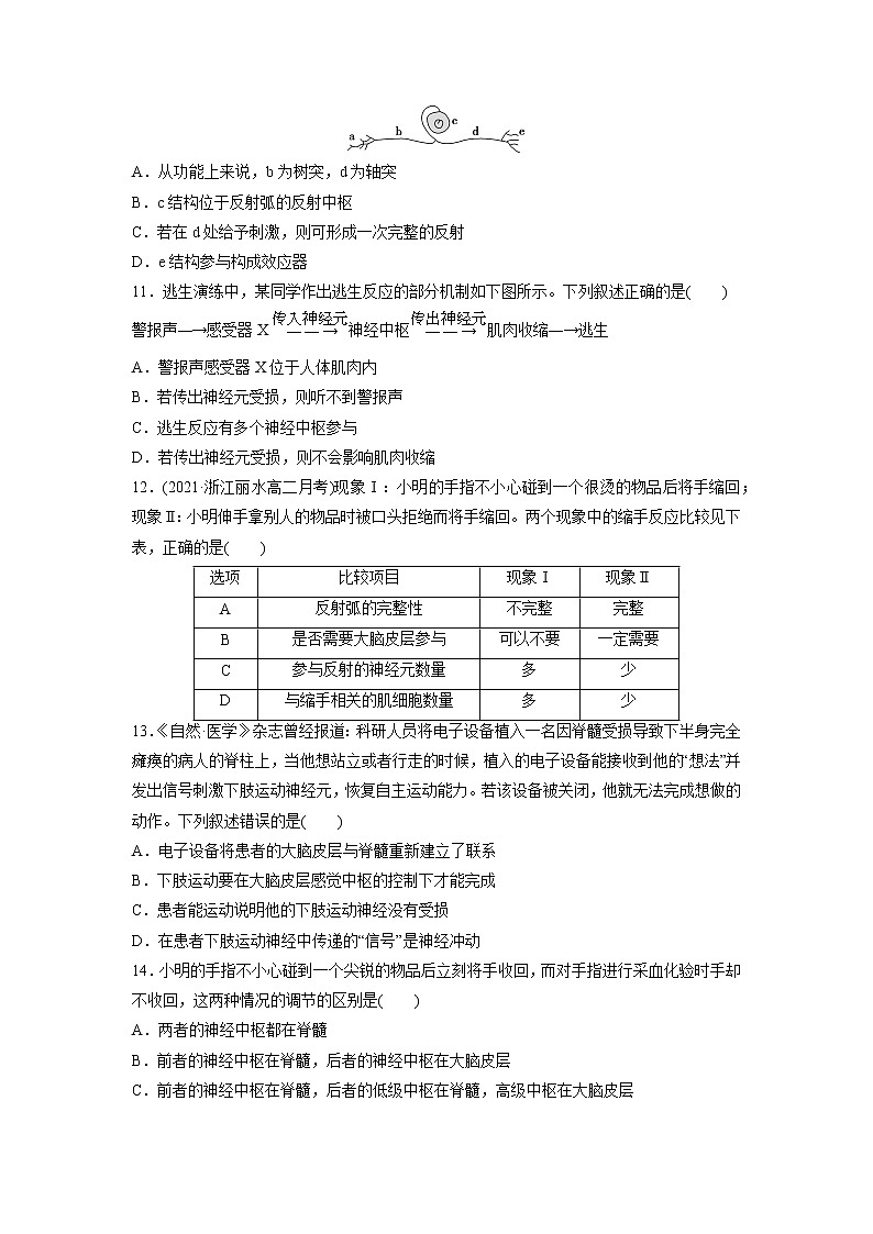 2.3 人体通过神经调节对刺激做出反应(第1课时)(精编课件+同步练习)精编高二生物同步备课系列(浙科版2019选择性必修1)03