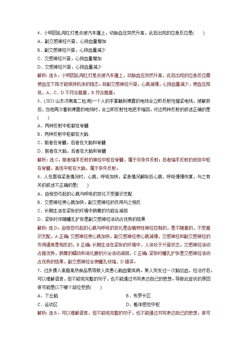 2.3 人体通过神经调节对刺激做出反应(第1课时)(精编课件+同步练习)精编高二生物同步备课系列(浙科版2019选择性必修1)02