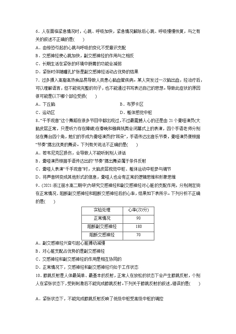 2.3 人体通过神经调节对刺激做出反应(第1课时)(精编课件+同步练习)精编高二生物同步备课系列(浙科版2019选择性必修1)02