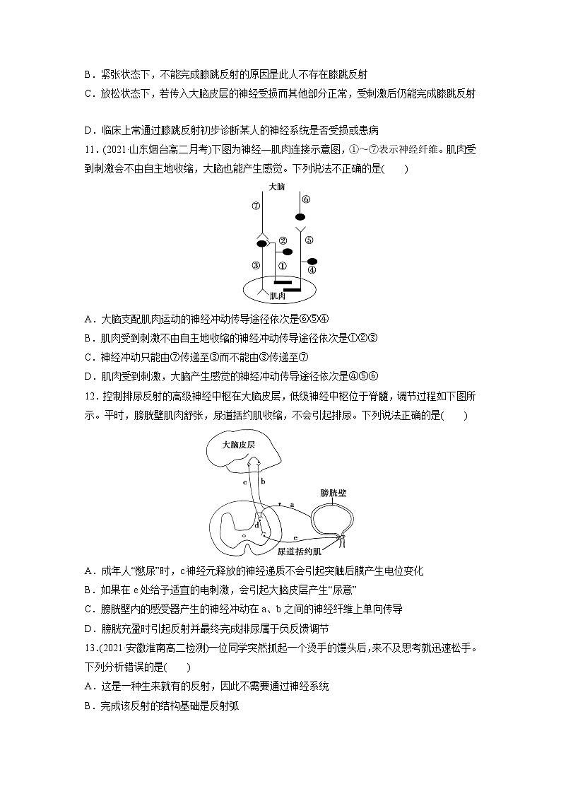2.3 人体通过神经调节对刺激做出反应(第1课时)(精编课件+同步练习)精编高二生物同步备课系列(浙科版2019选择性必修1)03