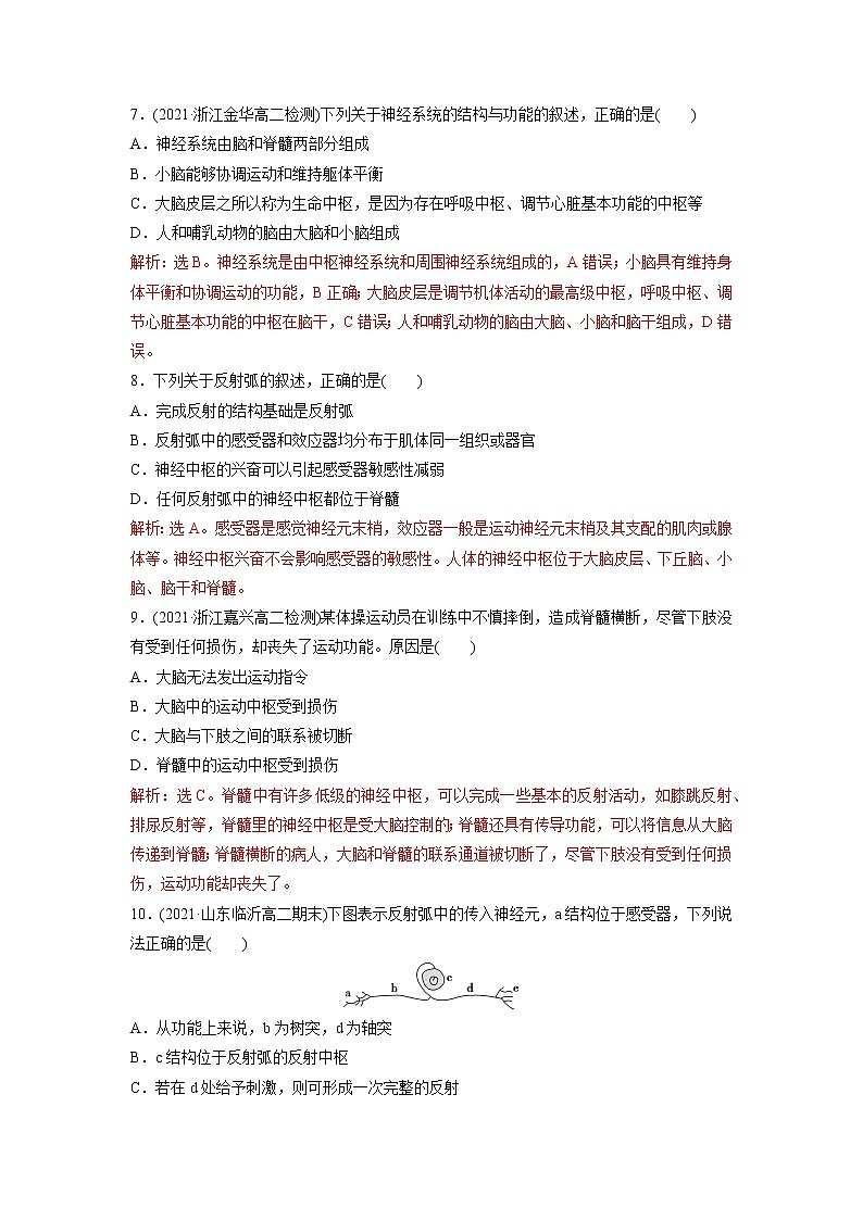 2.3 人体通过神经调节对刺激做出反应(第1课时)(精编课件+同步练习)精编高二生物同步备课系列(浙科版2019选择性必修1)03