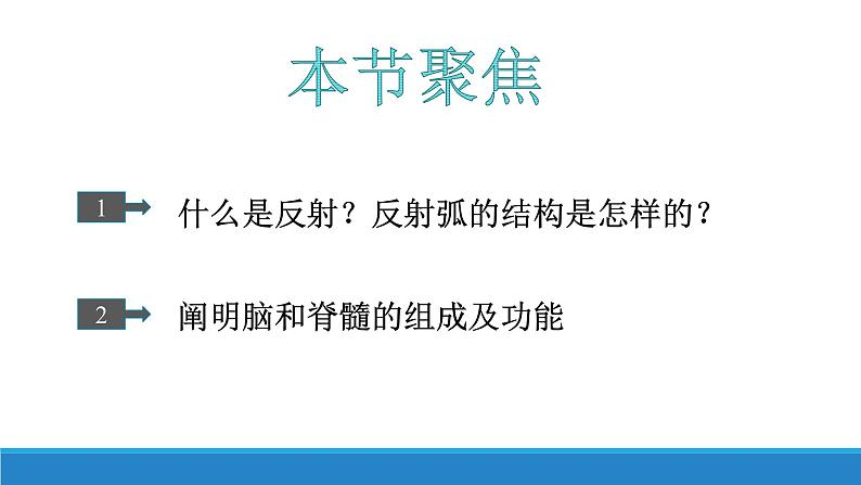 2.3 人体通过神经调节对刺激做出反应(第1课时)(精编课件+同步练习)精编高二生物同步备课系列(浙科版2019选择性必修1)03