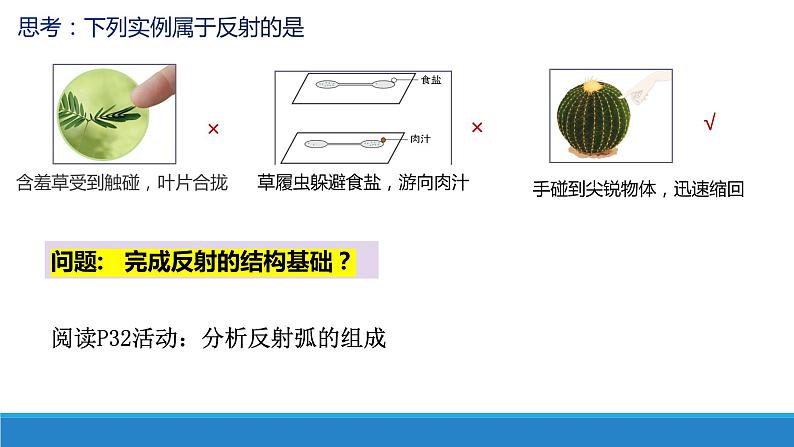 2.3 人体通过神经调节对刺激做出反应(第1课时)(精编课件+同步练习)精编高二生物同步备课系列(浙科版2019选择性必修1)05