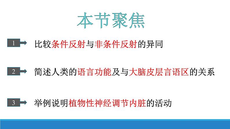 2.3 人体通过神经调节对刺激做出反应(第1课时)(精编课件+同步练习)精编高二生物同步备课系列(浙科版2019选择性必修1)02