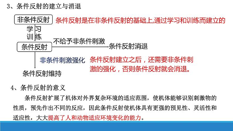 2.3 人体通过神经调节对刺激做出反应(第1课时)(精编课件+同步练习)精编高二生物同步备课系列(浙科版2019选择性必修1)05