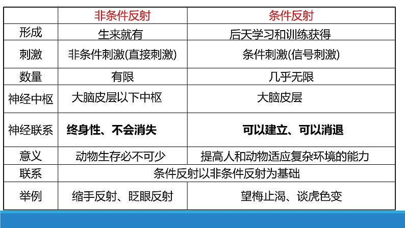 2.3 人体通过神经调节对刺激做出反应(第1课时)(精编课件+同步练习)精编高二生物同步备课系列(浙科版2019选择性必修1)06