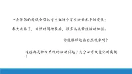 3.2 神经系统通过下丘脑控制内分泌系统（精编课件+同步练习）精编高二生物同步备课系列（浙科版2019选择性必修1）