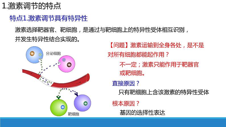 3.4 体液调节与神经调节共同维持机体的稳态(精编课件+同步练习)精编高二生物同步备课系列(浙科版2019选择性必修1)05