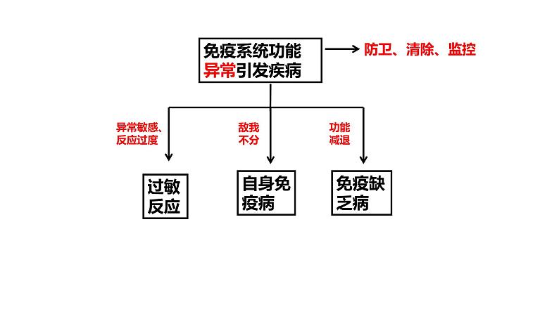 4.4 免疫功能异常引发疾病(精编课件+同步练习)精编高二生物同步备课系列(浙科版2019选择性必修1)04