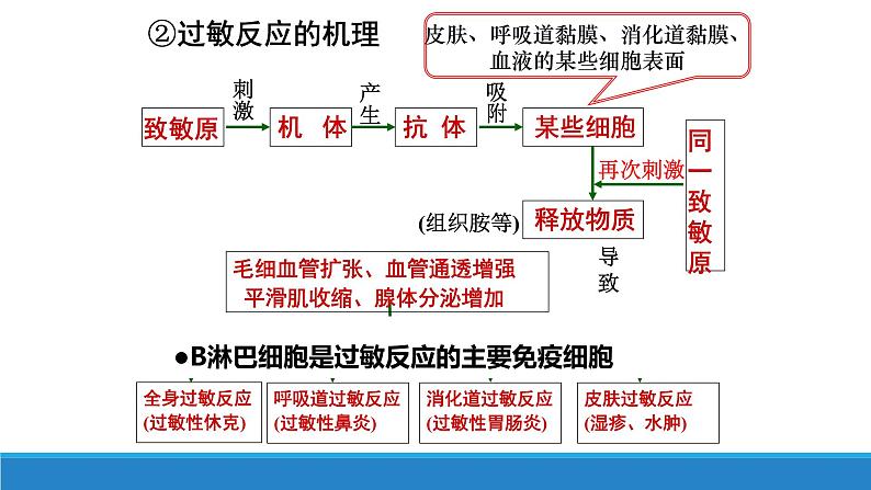 4.4 免疫功能异常引发疾病(精编课件+同步练习)精编高二生物同步备课系列(浙科版2019选择性必修1)06