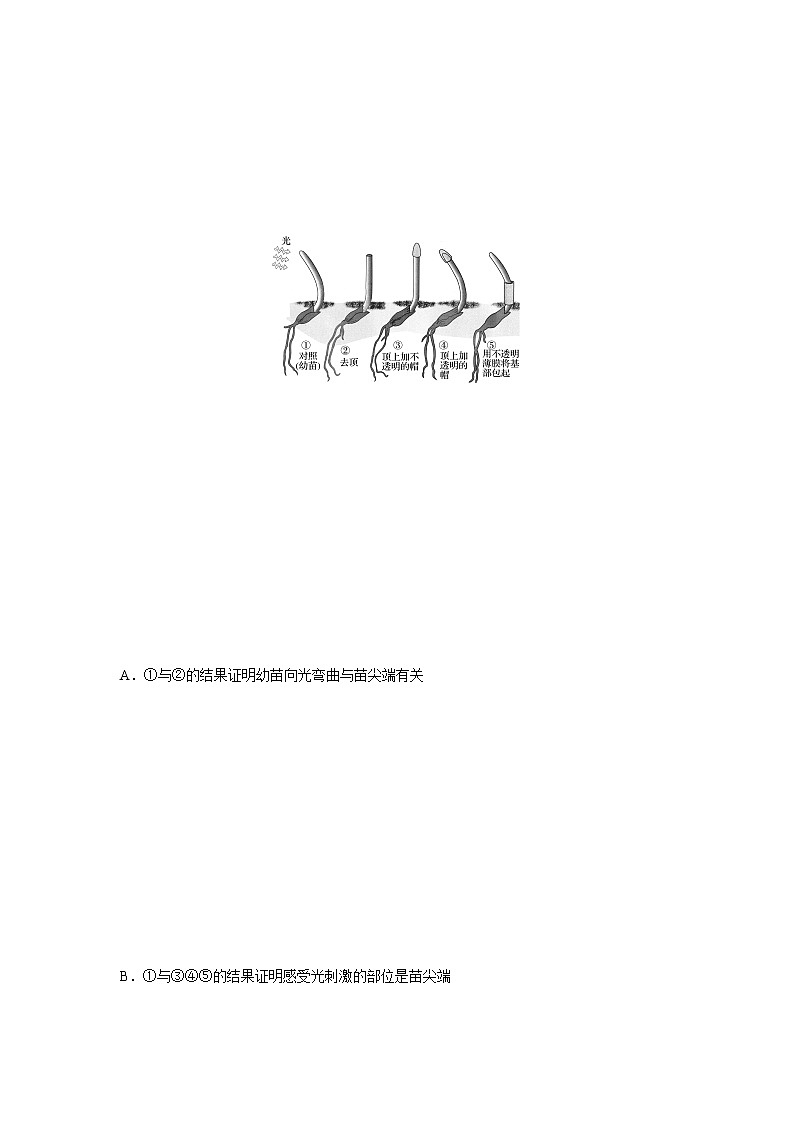 5.1 生长素的发现开启了人类对植物激素调节的探索(第1课时)(备作业)-【上好课】2021-2022学年高二生物同步备课系列(浙科版2019选择性必修1)(解析版)第3页