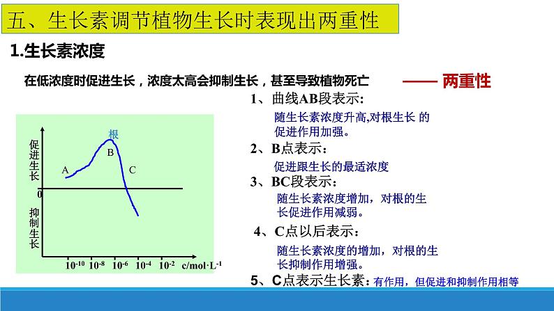 5.1 生长素的发现开启了人类对植物激素调节的探索(第3课时)(备课件)精编高二生物同步备课系列(浙科版2019选择性必修1)第2页